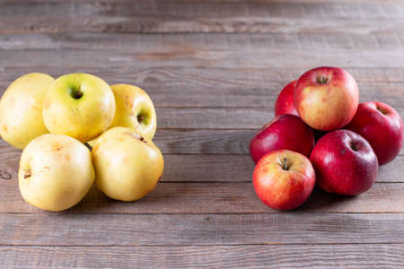 Selective focus of Imperfect looking organic, apples with unconventionally raised method, no genetically modified organism techniques, ugly food conceptの写真素材