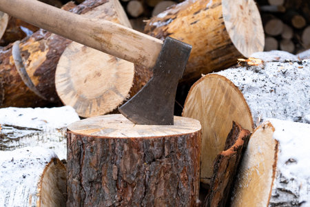 Ax stuck in the stump. Stump and ax in winter weather. Felled tree. Preparing firewood for winter.