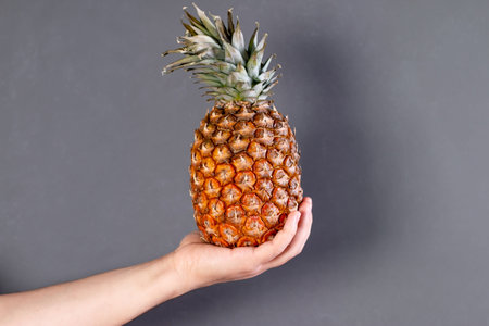 Hand holding a fresh, natural, organic pineapple on gray background. Studio shot, selective focusの写真素材