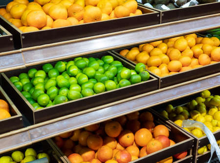 Produce market display of fresh limes, grapefruit and oranges. Assorted citrus on the market counterの写真素材