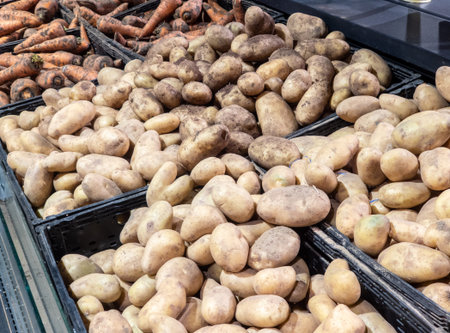 Fresh potatoes in a box on a store counter. Potatoes in a basket. Vegetable department in a supermarket.の写真素材