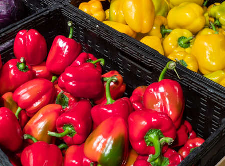 Red and yellow peppers in a box on a store counter. Sweet pepper in a basket. Vegetable department in a supermarket.の写真素材