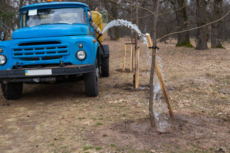 Watering freshly planted trees in old park. Using watering machine after planting trees. front view.の写真素材