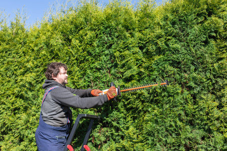 Male gardener in uniform using electric hedge cutter for work outdoors. Caucasian man shaping...