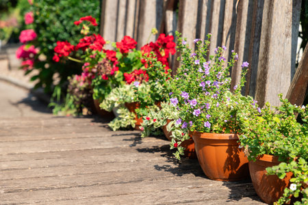 Garden with blooming flowers, outdoor wooden patio in the green colorful garden landscape. Flower garden built on terrace. spring flowers border. close-up. selective focus.の写真素材