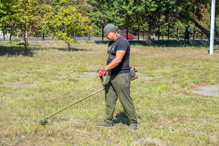 Man gardener mowing ragweed sprouts or plants, ambrosia artemisiifolia that causing allergy summer...