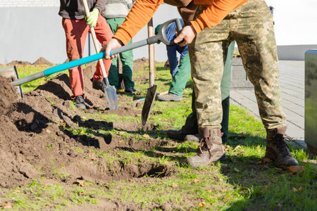 Hands with a shovels. Group of diverse people digging hole planting tree together, volunteering, charity, people and ecology concept - group volunteers digging hole with shovel and planting tree in park.の写真素材