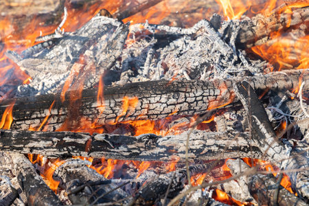 Charred and burning logs inside intense fire with orange and yellow flames in fire pit. Close-up.の写真素材