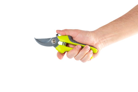 Steel garden secateurs, scissors with green plastic handle in male's hand isolated on a white...