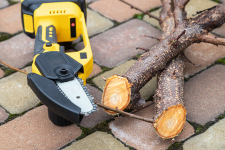 Small handheld lithium battery powered chainsaw with cutted twigs, branches of a fruit tree on a paving slabs. The concept of season pruning trees in spring and autumn. Electric chainsaw for cutting trees and bushes. Side viewの写真素材