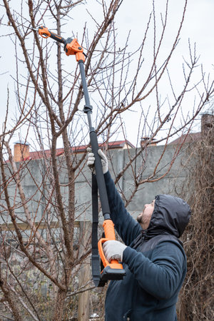 Gardener prunes and cuts branches of a tree in the garden with using long reach pole electric...