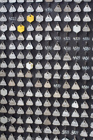 Cipher of numbered disks for encryption. 