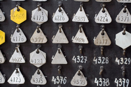 Cipher of numbered disks for encryption. の写真素材