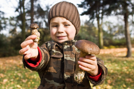 A young boy showing the mushrooms he collected.の写真素材