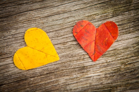 Yellow and red autumn leaves in love heart shape with wooden background.の写真素材
