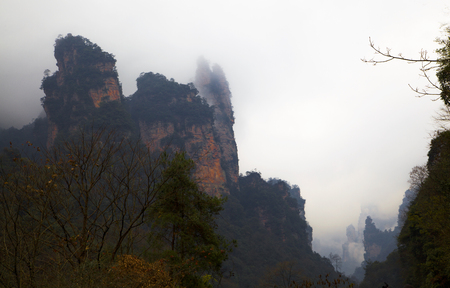 Nature scenery landscape view of Zhangjiajieの写真素材