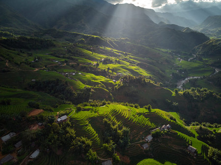 Beautiful step of rice terrace paddle field in sunset and dawn at Trung Khanh, Cao Bang. Cao Bang is...