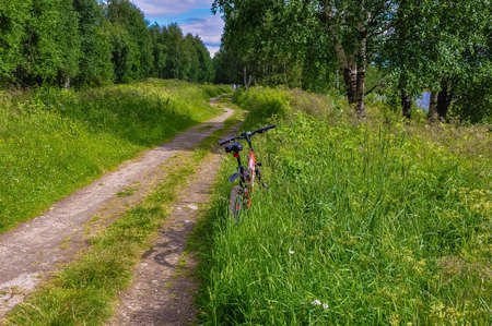 Summer walks along the coastの写真素材