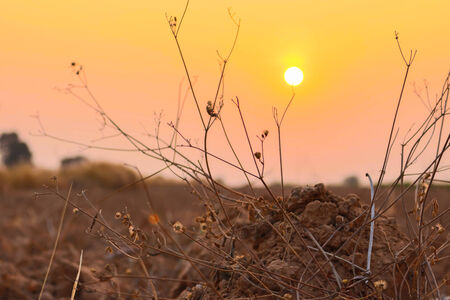 Sunsetの写真素材