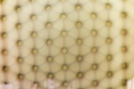 Mesh made of metal   alloyの写真素材