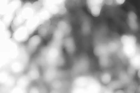 Background blur of natureの写真素材