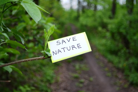 Save the nature of the appeal on a tree branchの写真素材