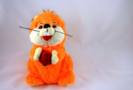 soft toy squirrel on a white backgroundの写真素材