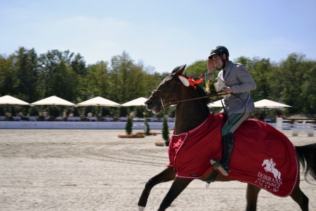 01.09.2012. Ukraine, Donetsk. Competitions on a show jumping のeditorial素材