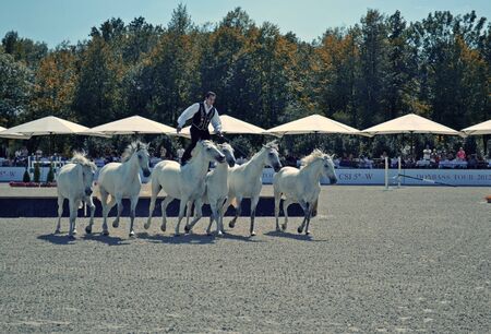 01.09.2012. Ukraine, Donetsk. Competitions on a show jumping のeditorial素材