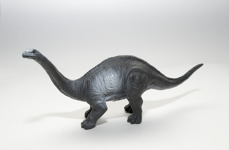 brachiosaurus dinosaur toy on white backgroundの写真素材