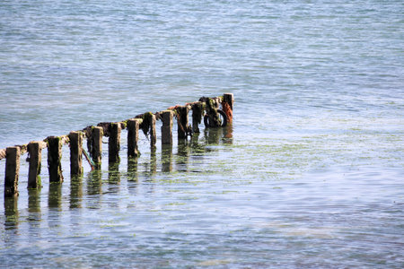 The ruins of the pierの写真素材
