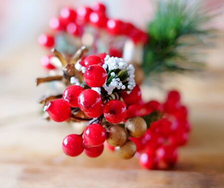 Christmas berries closeup isolatedの写真素材