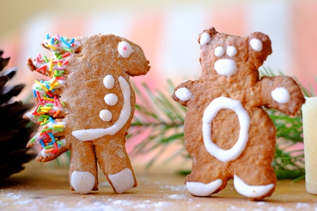 Gingerbread hedgehog and bearの写真素材