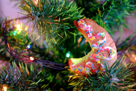 Gingerbread moon on the Christmas treeの写真素材