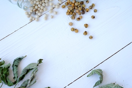 Condiments and spices white cooking isolated condimentsの写真素材