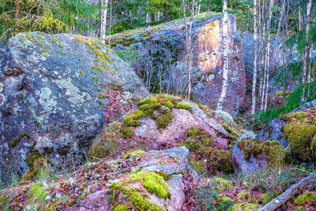 Boulders in the forest woods, rocks moss rockの写真素材