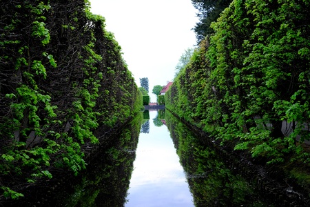 Hedge and water green, outdoor, fountain park hedgeの写真素材