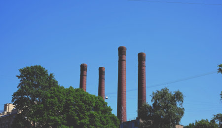 Pipes from the forest oil, gas, background skyの写真素材
