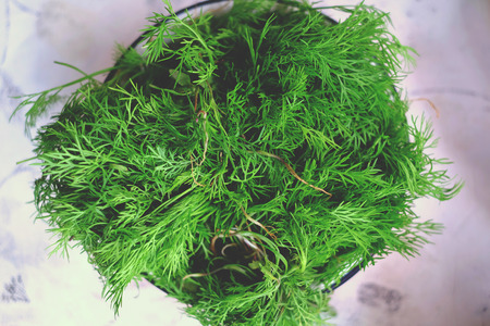 Dill in a village on the table food, village, wooden rustic greenの写真素材
