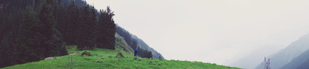 Mountain valley panorama summer, beautiful, forest field