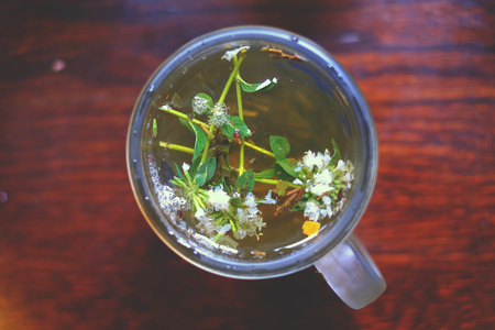 Brewed herbal tea hypericum, herb, glass, cup healthy leafの写真素材