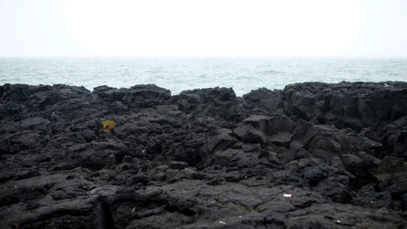 Ocean and black stones of Iceland sand, ocean, background, seaの写真素材
