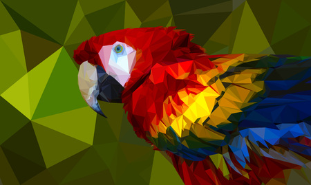 Low-poly parrot. Colorful vector illustration for your design.のイラスト素材