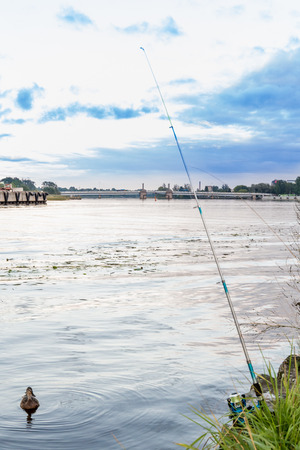 Duck looking for breadcrumbs near to fishermans fishing rodのeditorial素材