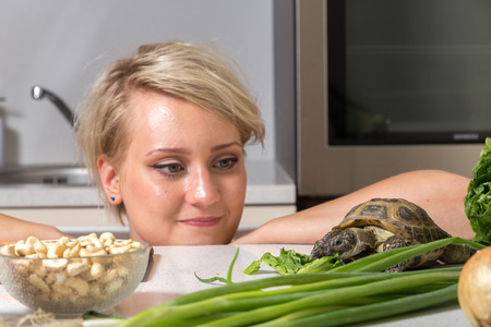 Woman stares at tortoise eating saladの写真素材