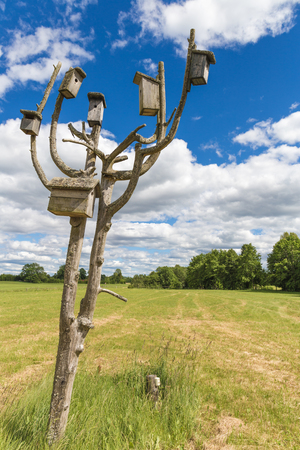 Wooden boxes for birds to nest in them in summerの写真素材