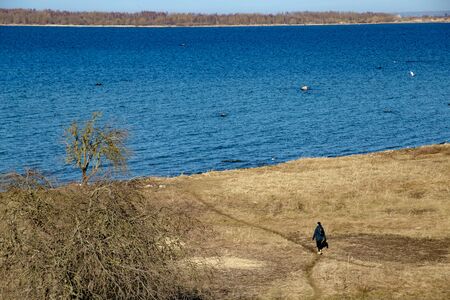 Idyllic sea and dry grassland with woman walkingの写真素材