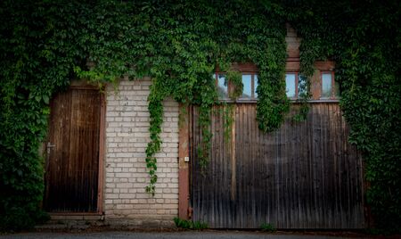 Overgrown old wooden garage doorの写真素材