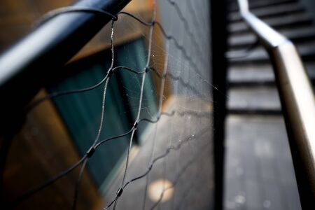Spider web on metallic handleの写真素材