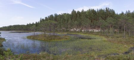 Panorama of bog lakeの写真素材